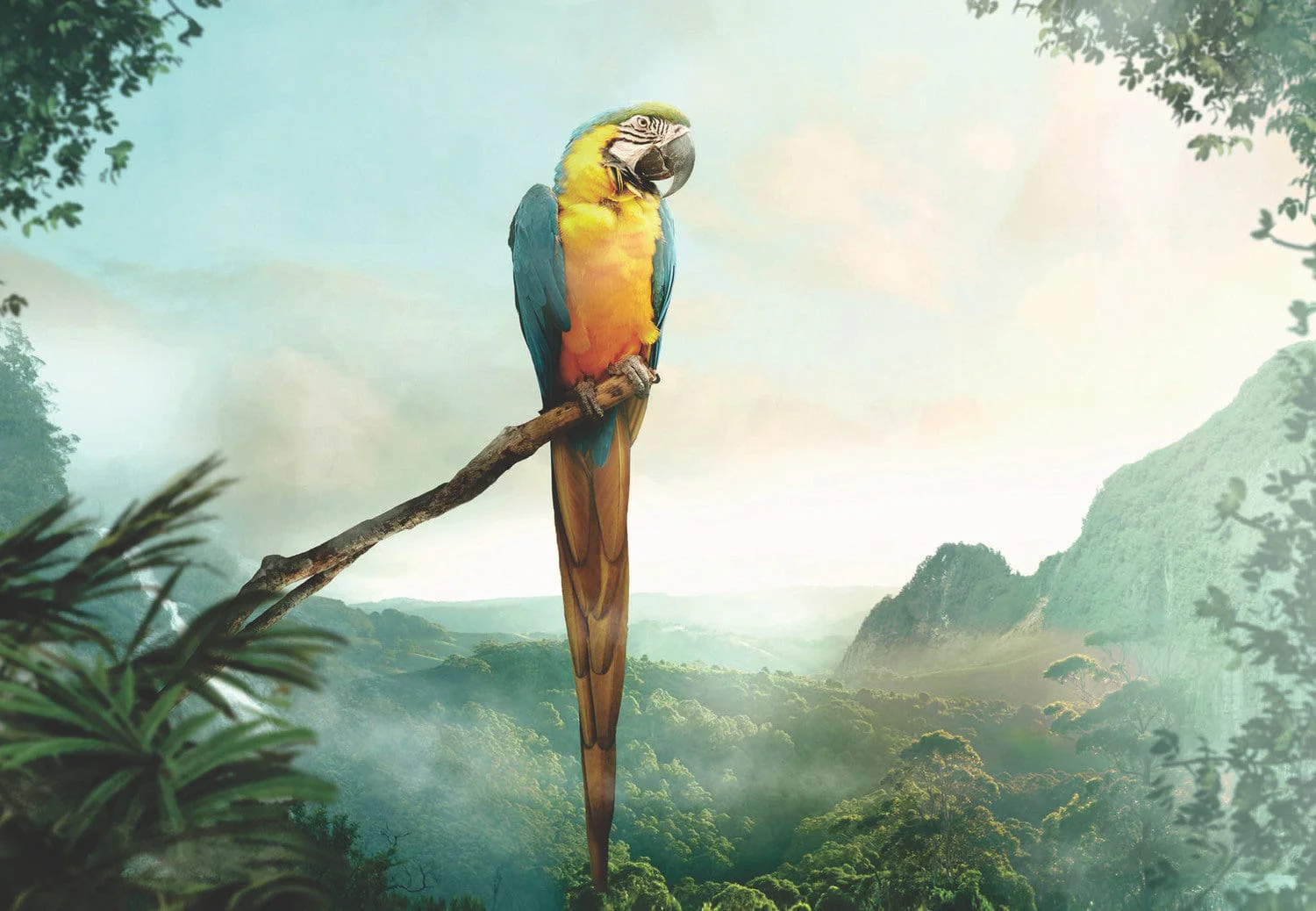Parrot (99 pc Puzzle) - Image 4