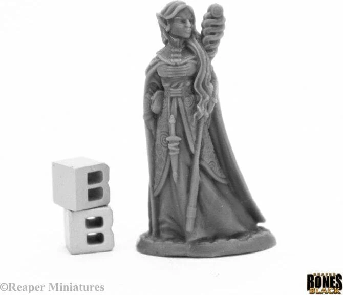 Anthanelle Female Elf Wizard - Image 2