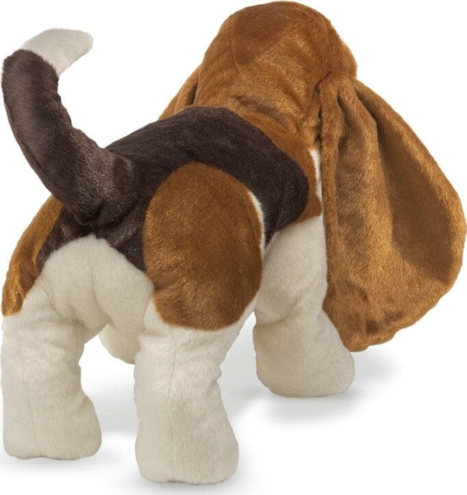 Basset Hound - Image 4