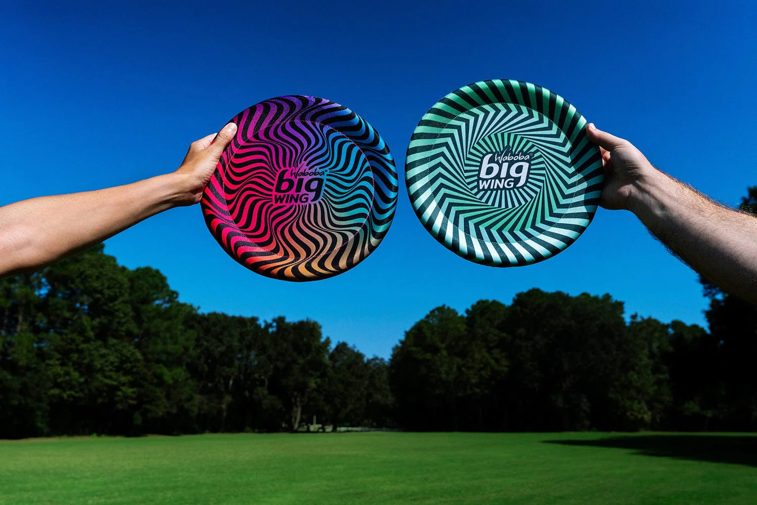Big Wing Flying Disk Assorted - Image 3