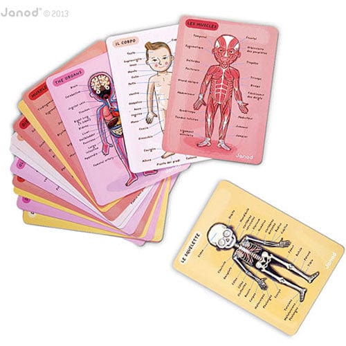 Bodymagnet In 12 Languages - Image 3
