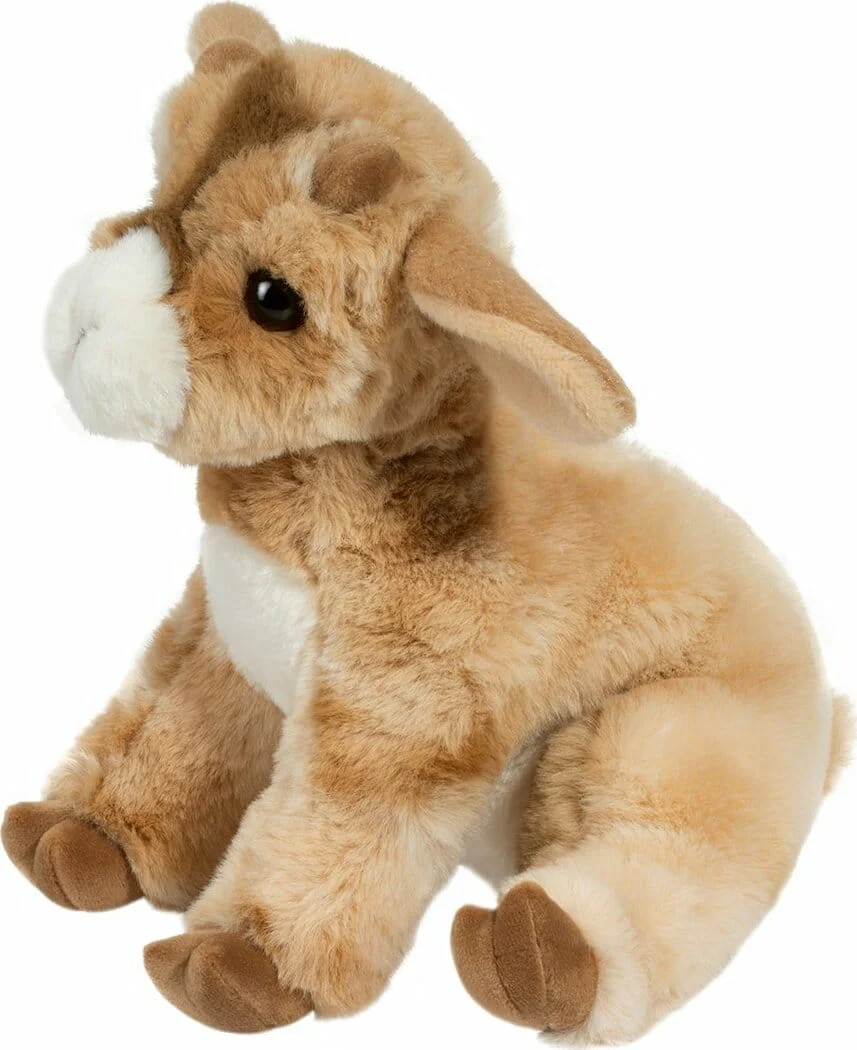 Dandie Soft Goat - Image 5
