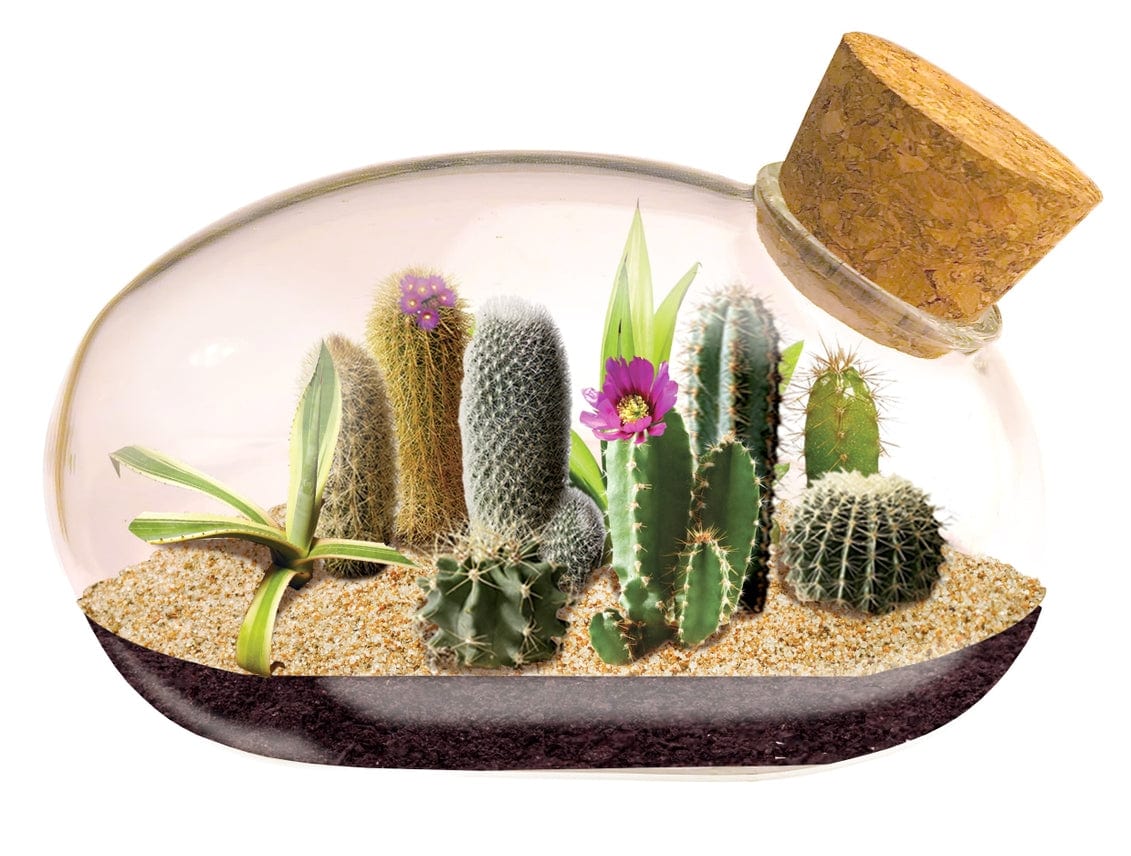 Desert Mouse Glass Terrarium - Image 3