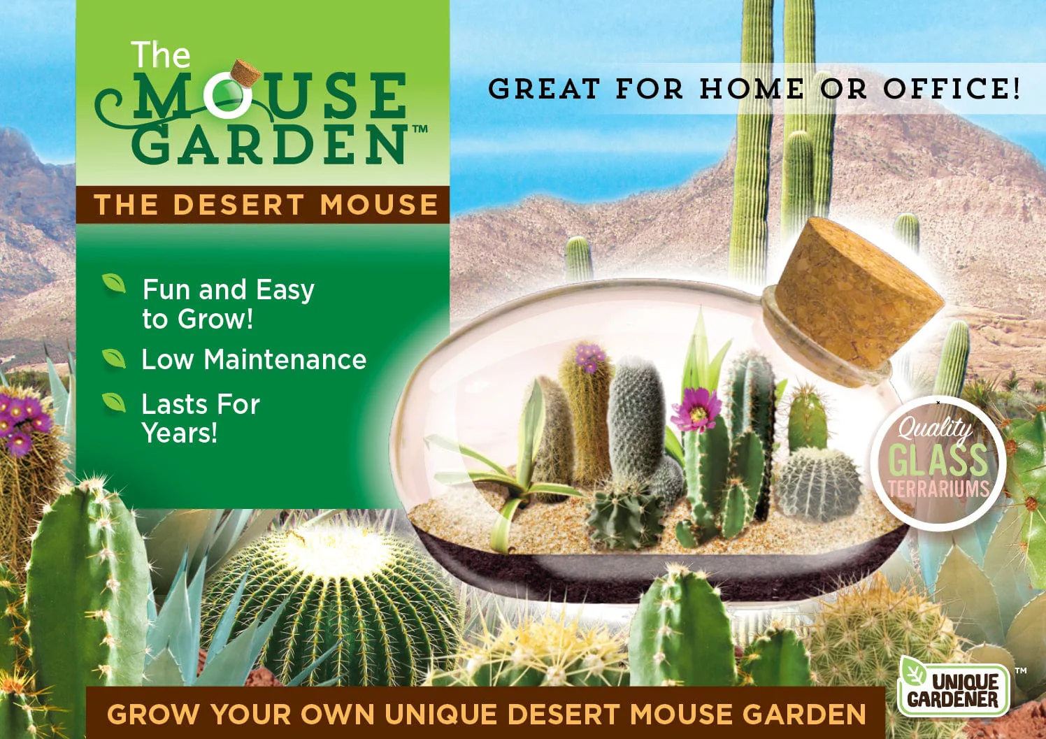Desert Mouse Glass Terrarium - Image 4