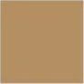 Desert Yellow - Image 4