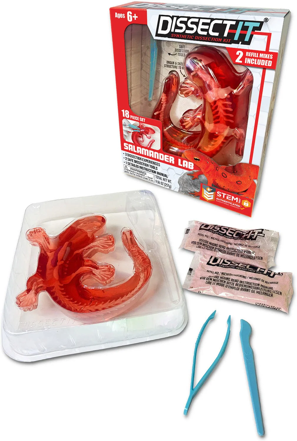 Dissect-It Salamander Lab - Image 5