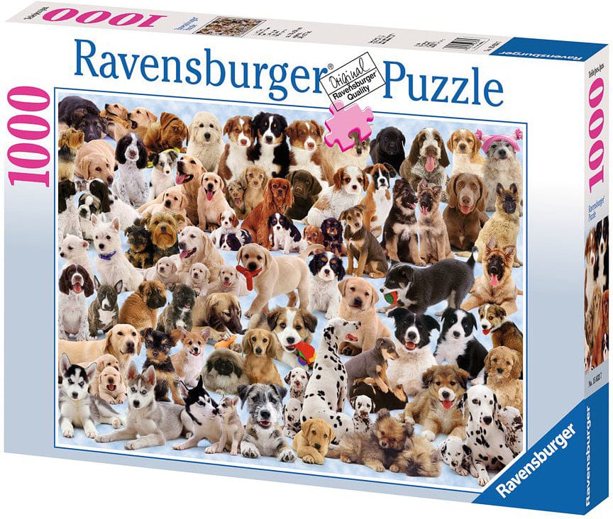 Dogs Galore! - Image 11