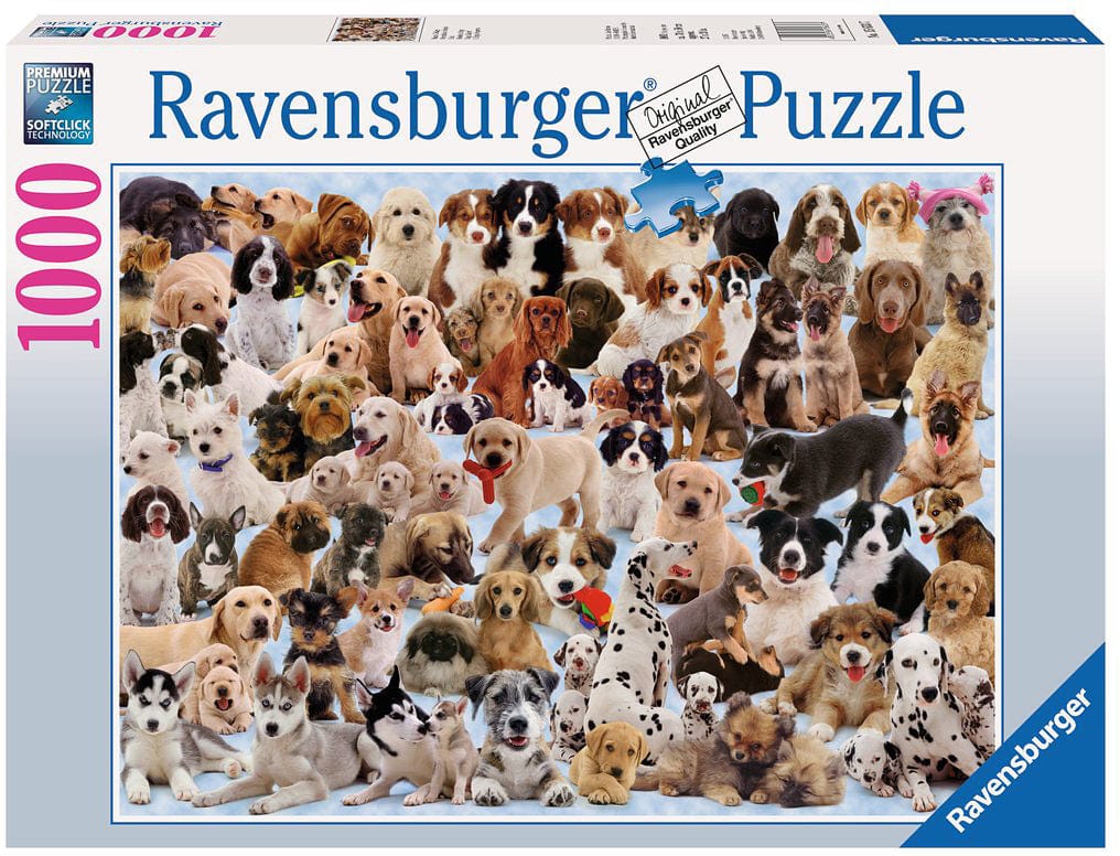 Dogs Galore! - Image 13