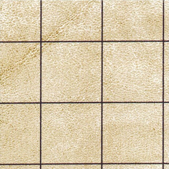 Double-Sided Battlemat With 1 I