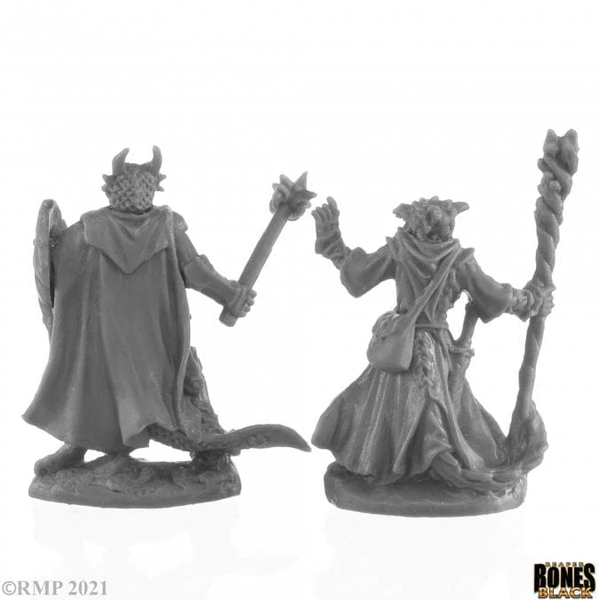 Dragonfolk Wizard and Cleric - Image 2