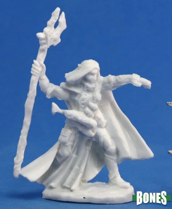 Elquin High Elf Adventurer