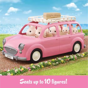 Family Picnic Van - Image 9