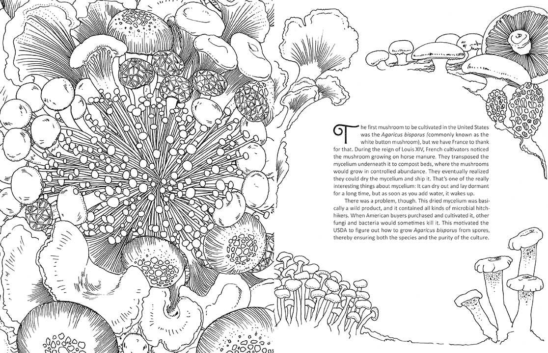Fantastic Fungi: The Coloring Book - Image 3