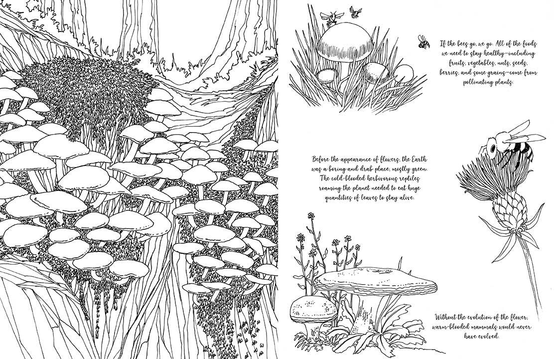 Fantastic Fungi: The Coloring Book - Image 4