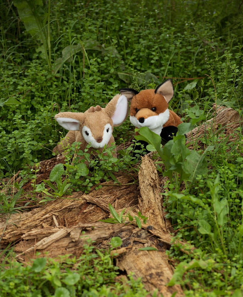 Douglas Fernie Fawn Softie - Image 6
