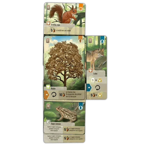 Forest Shuffle - Image 3
