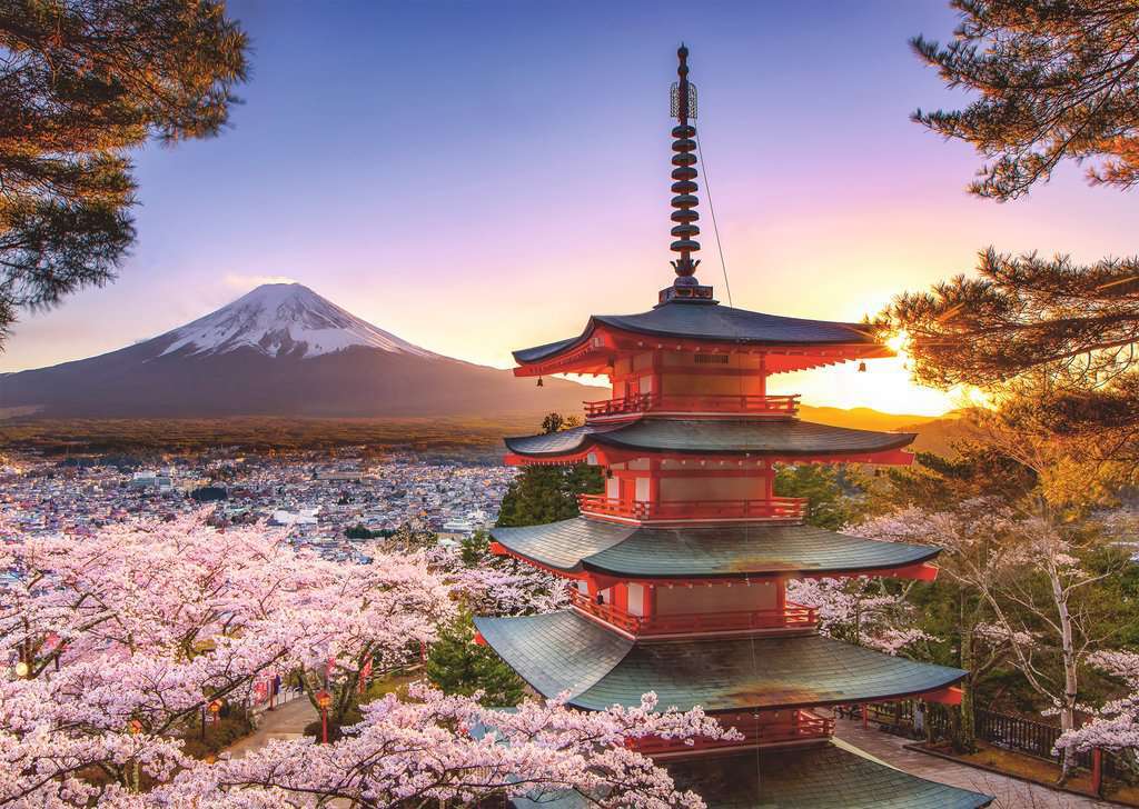 Fuji Cherry Blossom View - Image 5