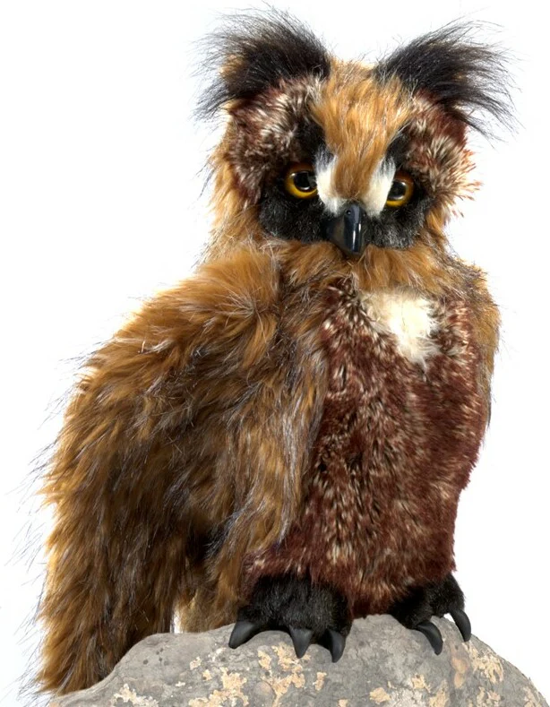 Great Horned Owl - Image 2
