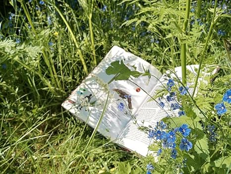 Herbalist’s Primer - Hardcover - Image 2