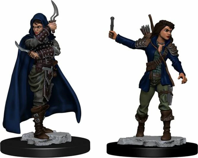 Female Human Rogue - Image 2