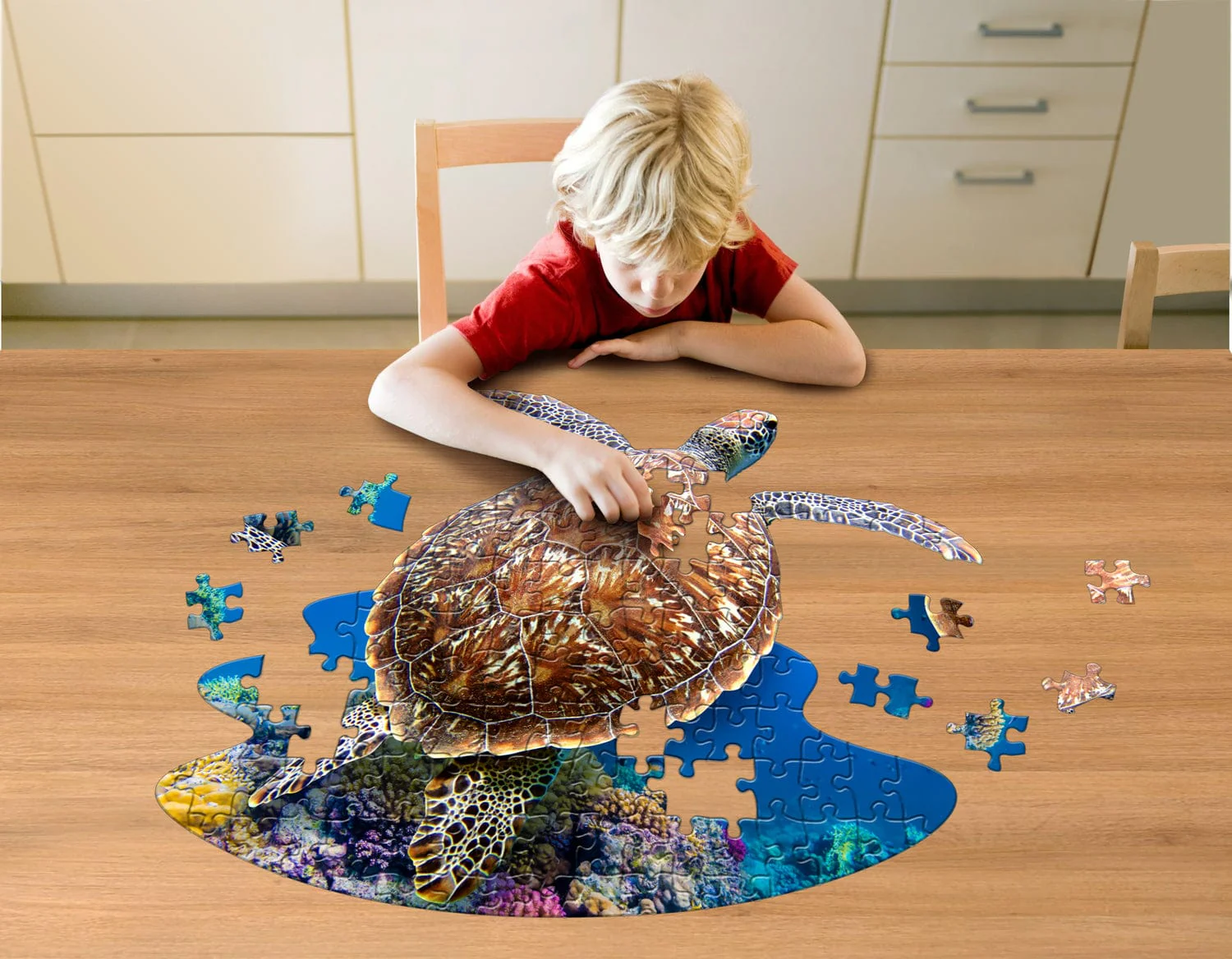 Madd Capp Puzzle Jr. - I Am Lil Sea Turtle - Image 3