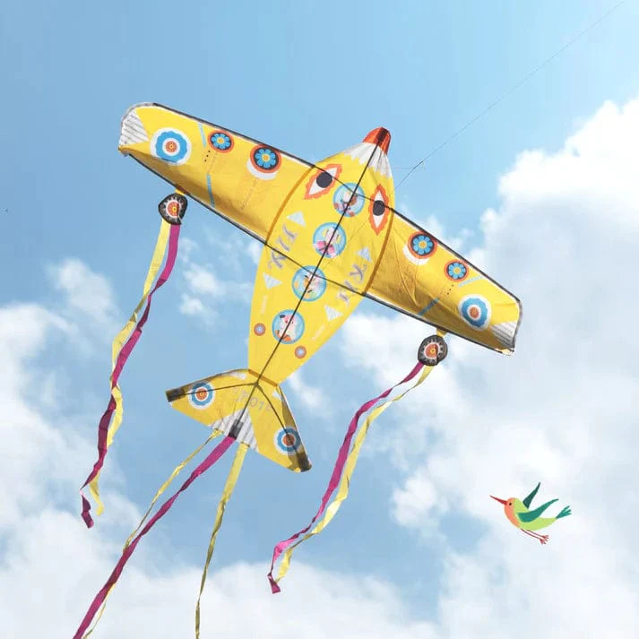 Maxi Plane Kite - Image 4