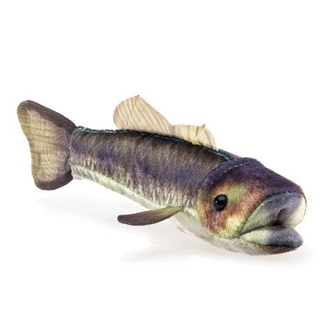 Mini Bass, Largemouth