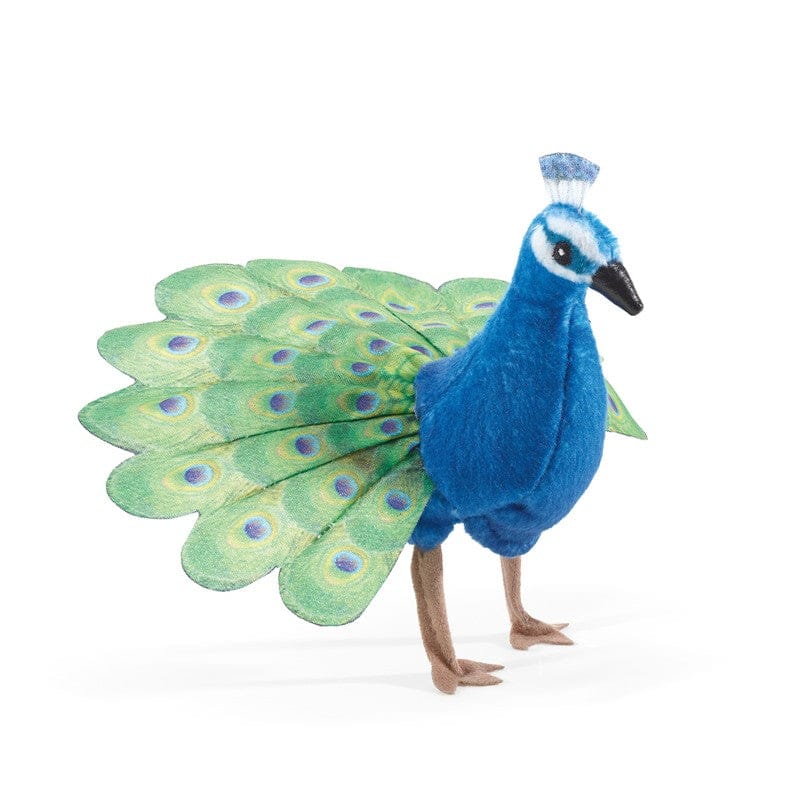 Mini Peacock - Image 4