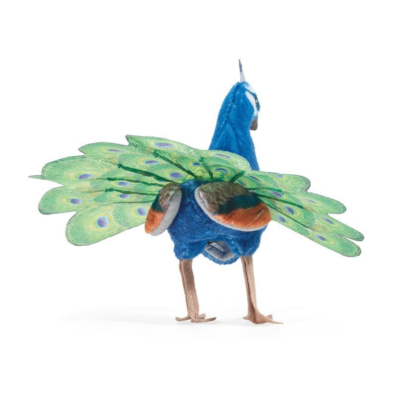 Mini Peacock - Image 5