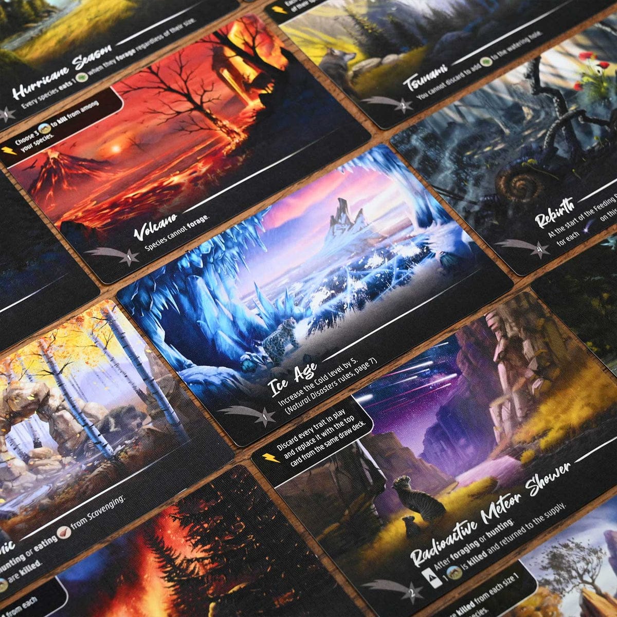 Nature Module 3: Natural Disasters - Image 2