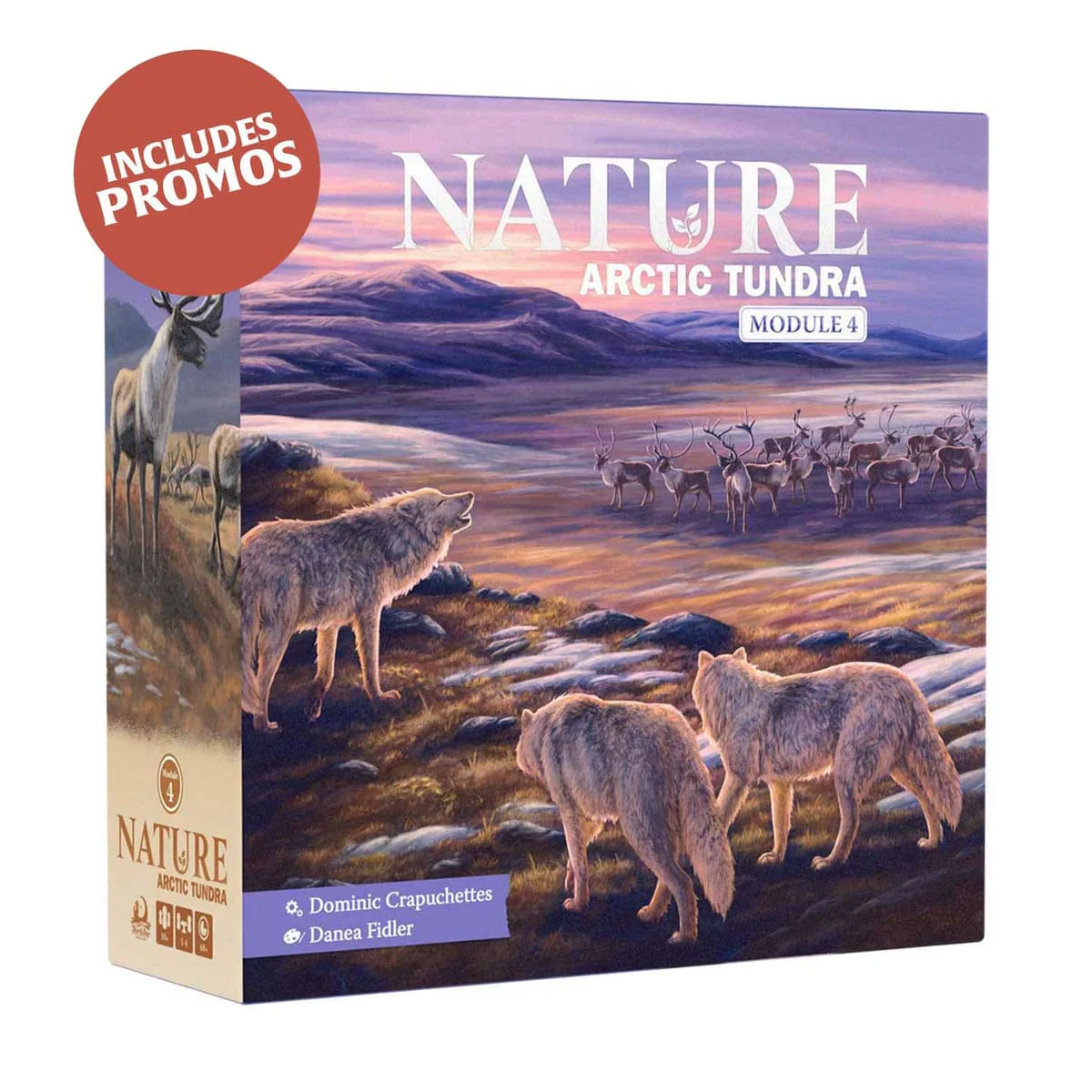 Nature Module 4: Arctic Tundra
