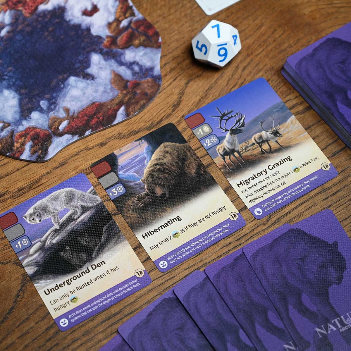 Nature Module 4: Arctic Tundra - Image 3