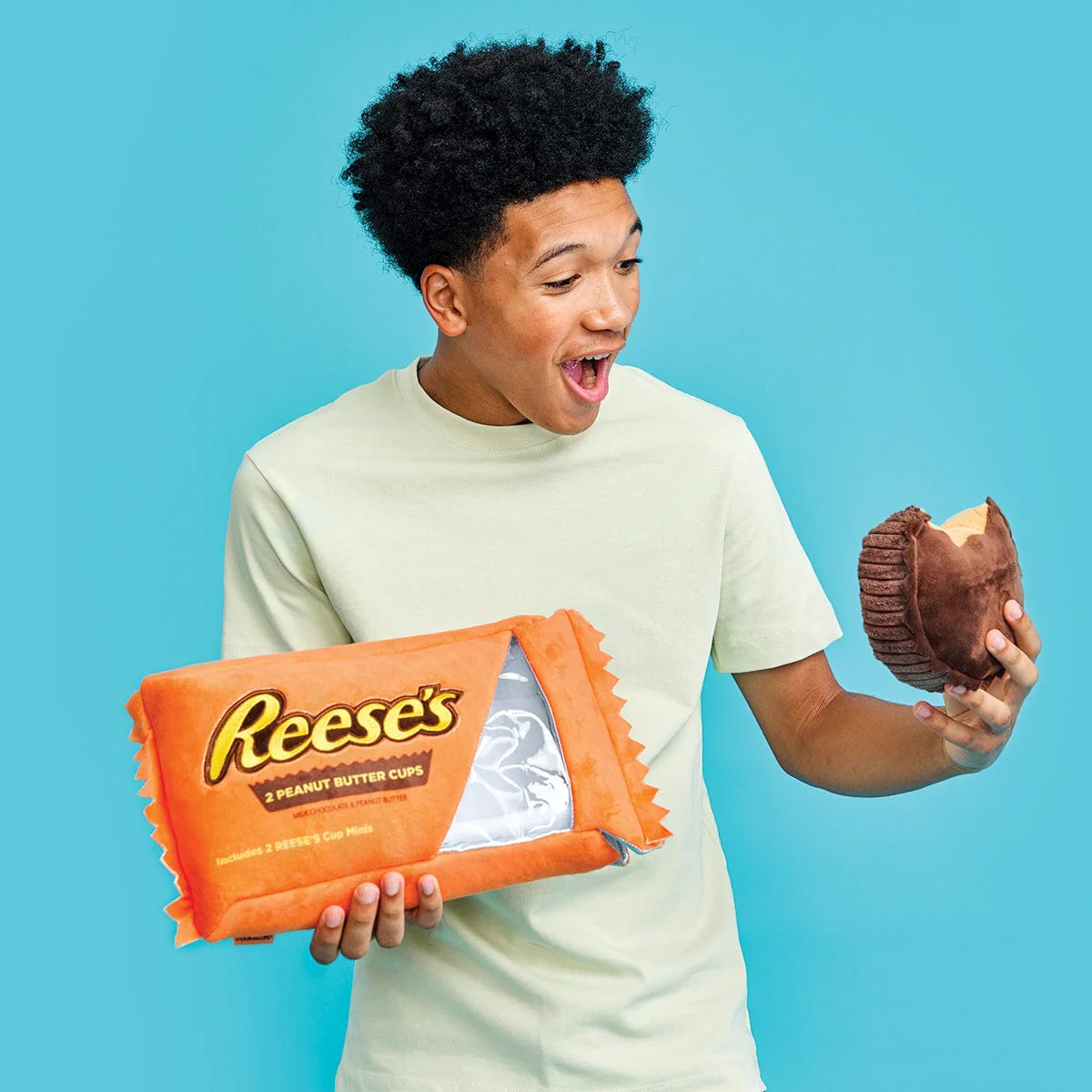 Reese's Peanut Butter Cups Packaging Plush - Image 5