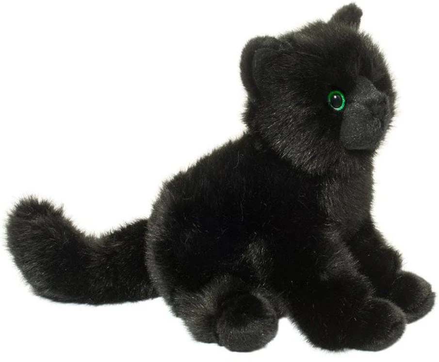 Salem Black Cat - Image 15