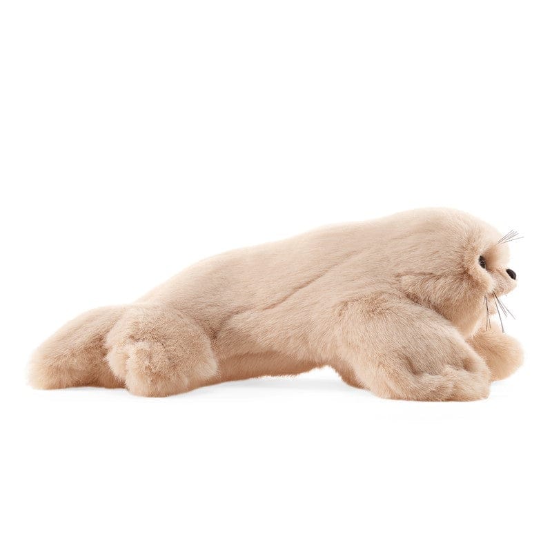 Seal, Harp Pup - Image 2