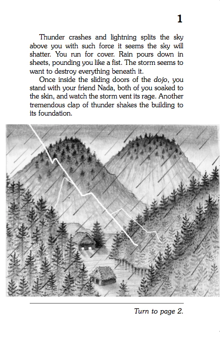 Secret Of The Ninja, Children's Book - Image 3