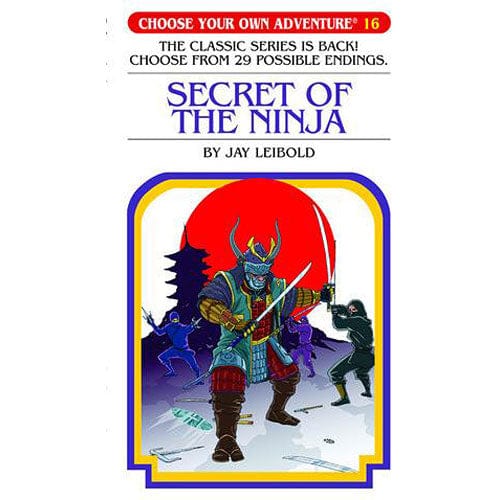 Secret Of The Ninja, Children's Book - Image 5