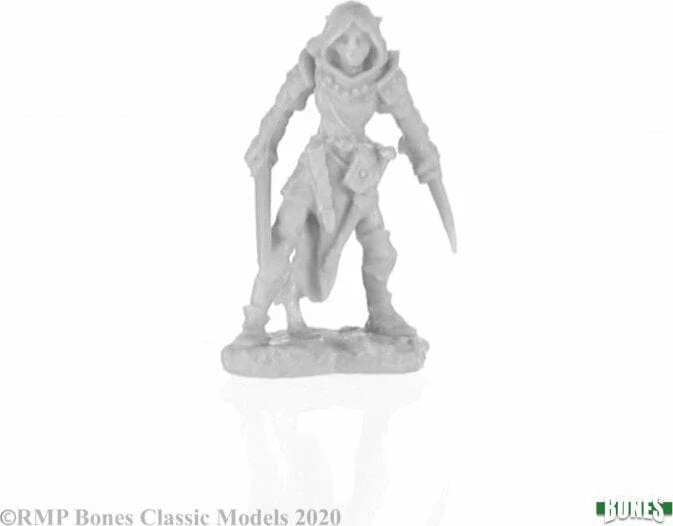 Shardis Female Elf Rogue - Image 2