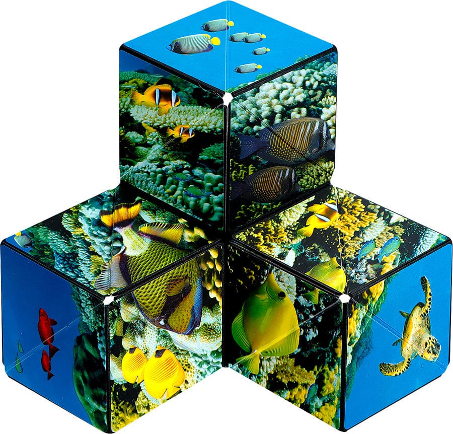 Shashibo Undersea - Image 8