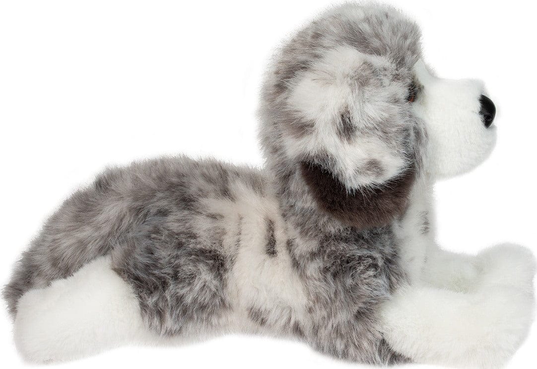 Skylar Australian Shepherd - Image 2