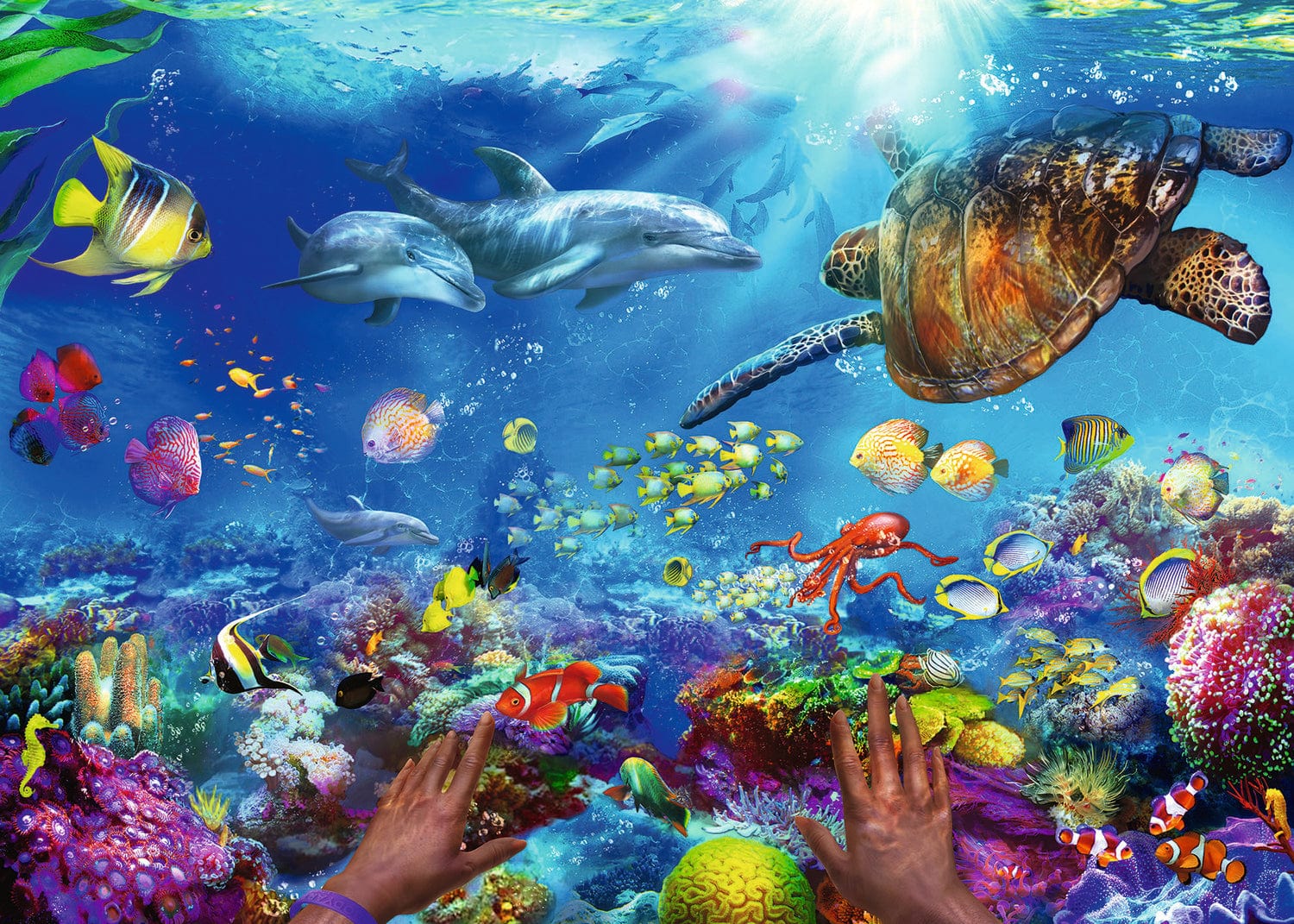 Snorkeling - Image 8