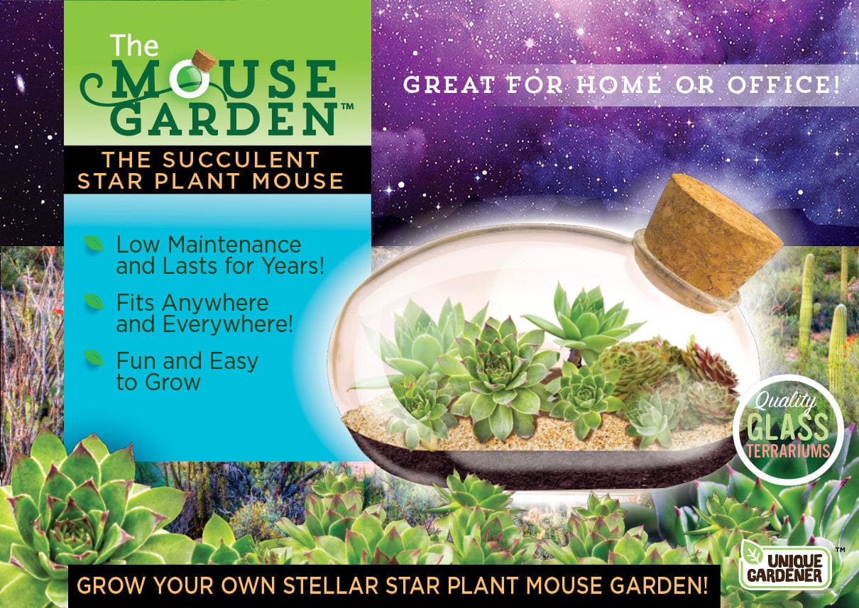 The Mouse Garden