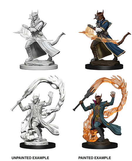 Male Tiefling Sorcerer