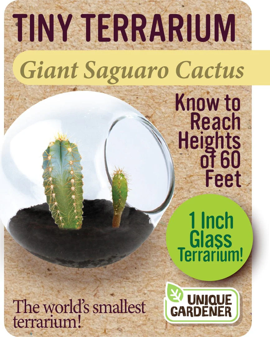 Giant Saguaro - Image 2