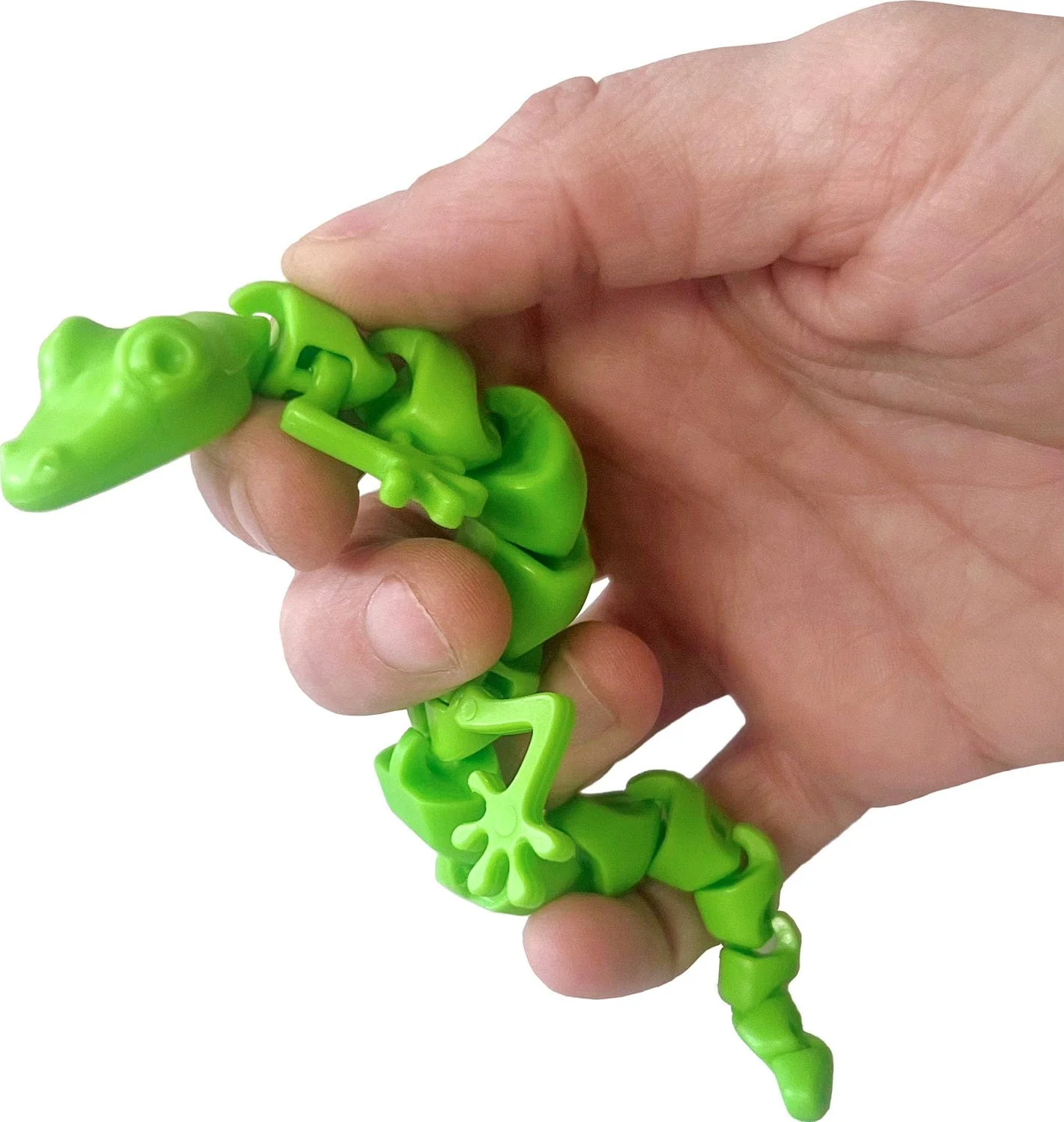 Twiddle Lizard - Image 5