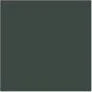Black Green 17mL - Image 5