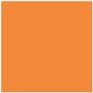 Light Orange 17mL - Image 5